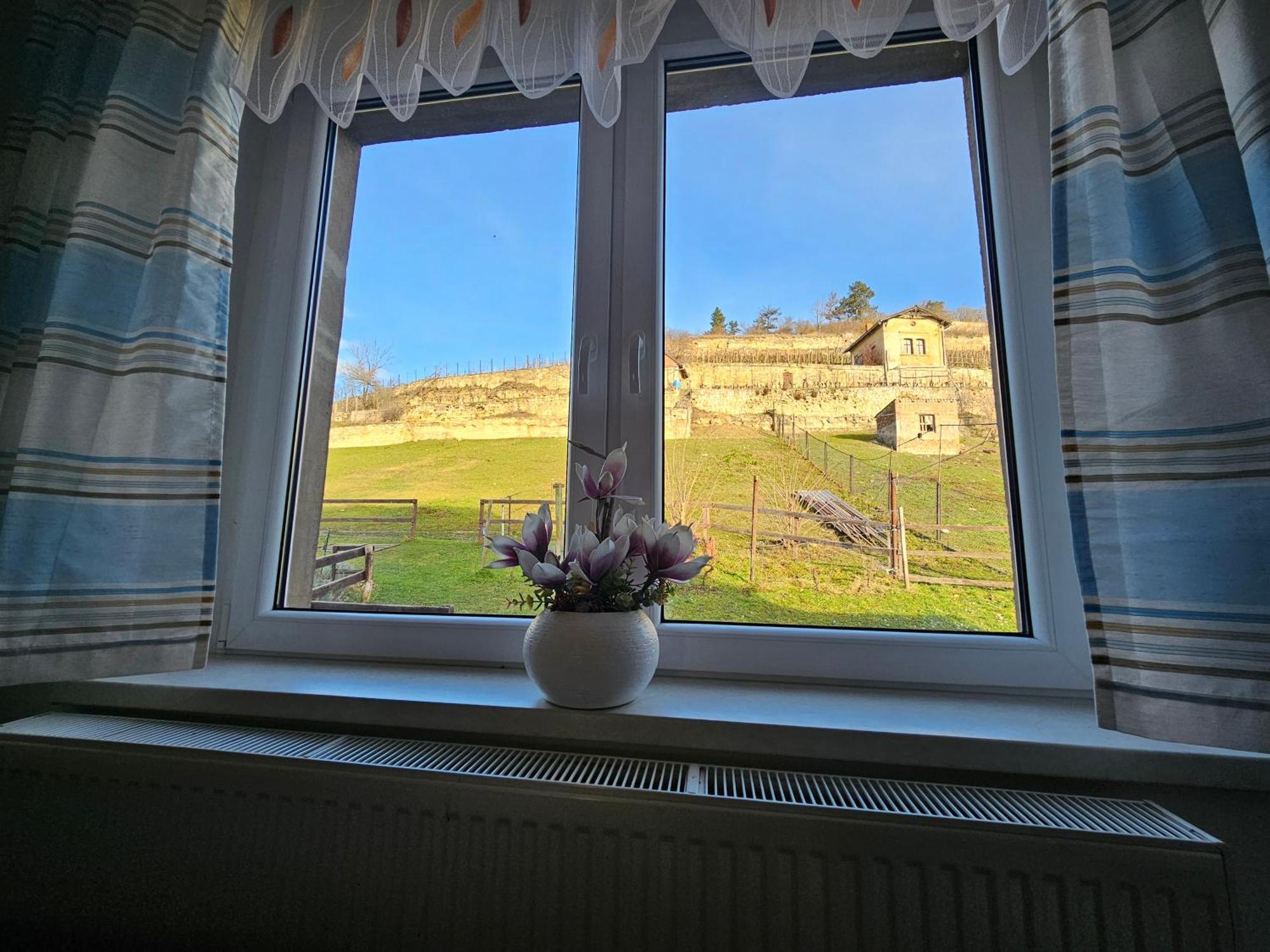Ferienhaus Und Strausswirtschaft Im Weinberg Freyburg Eksteriør billede